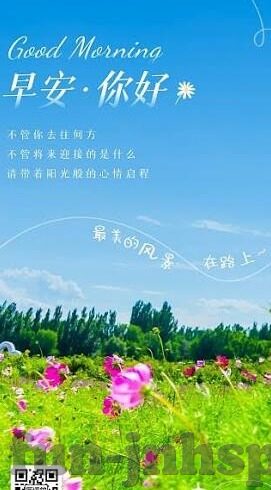 足球比分马来 西亚-绿茵激战，马来西亚足球比分背后的激情与梦想